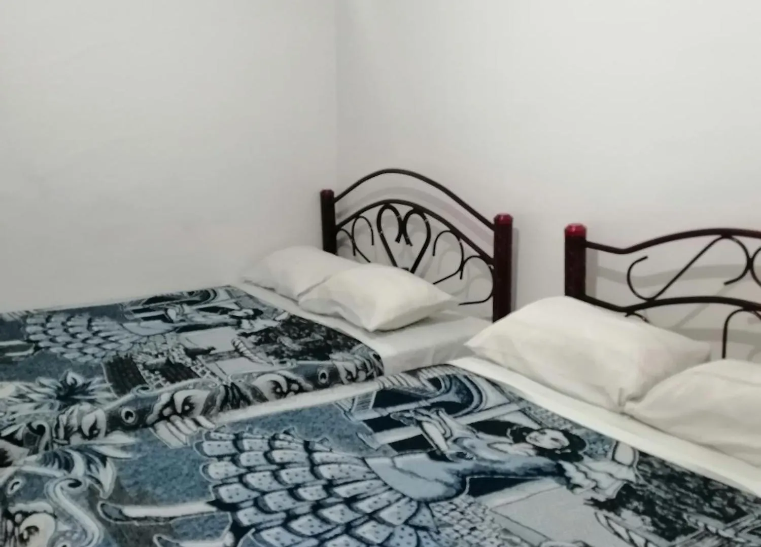 호스텔 Hostal Maple 케레타로