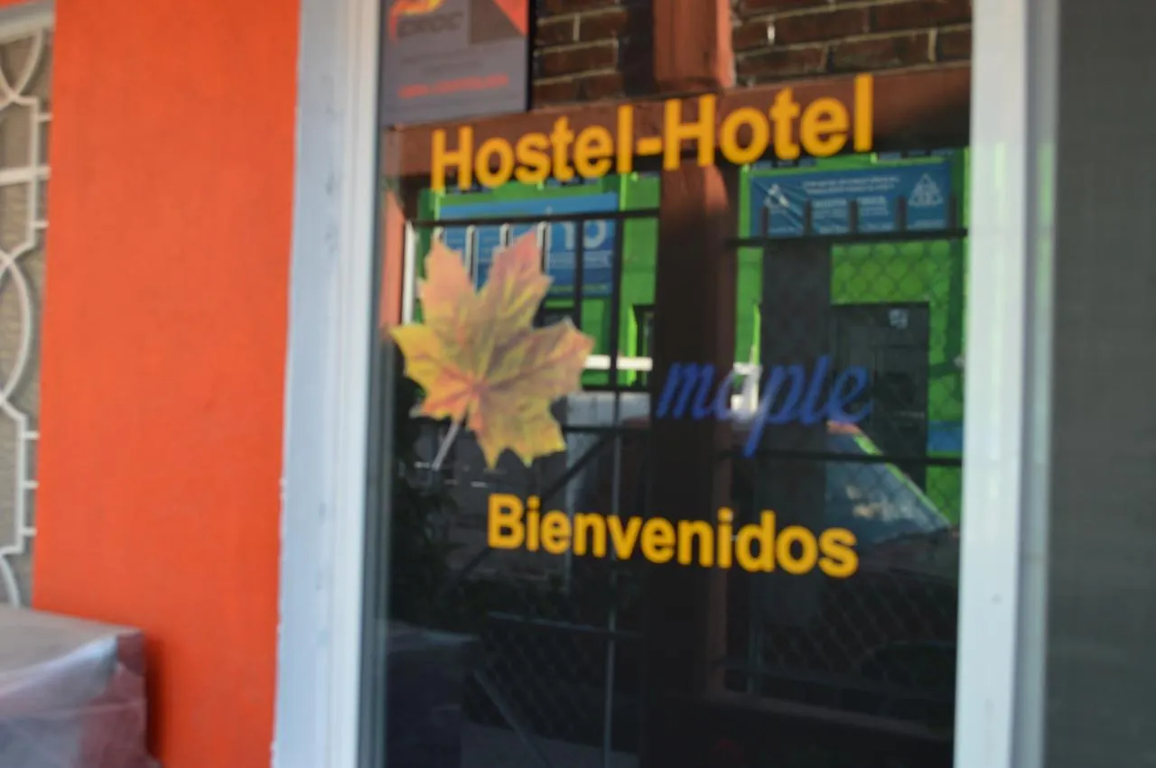 Hostal Maple Queretaro Hostel