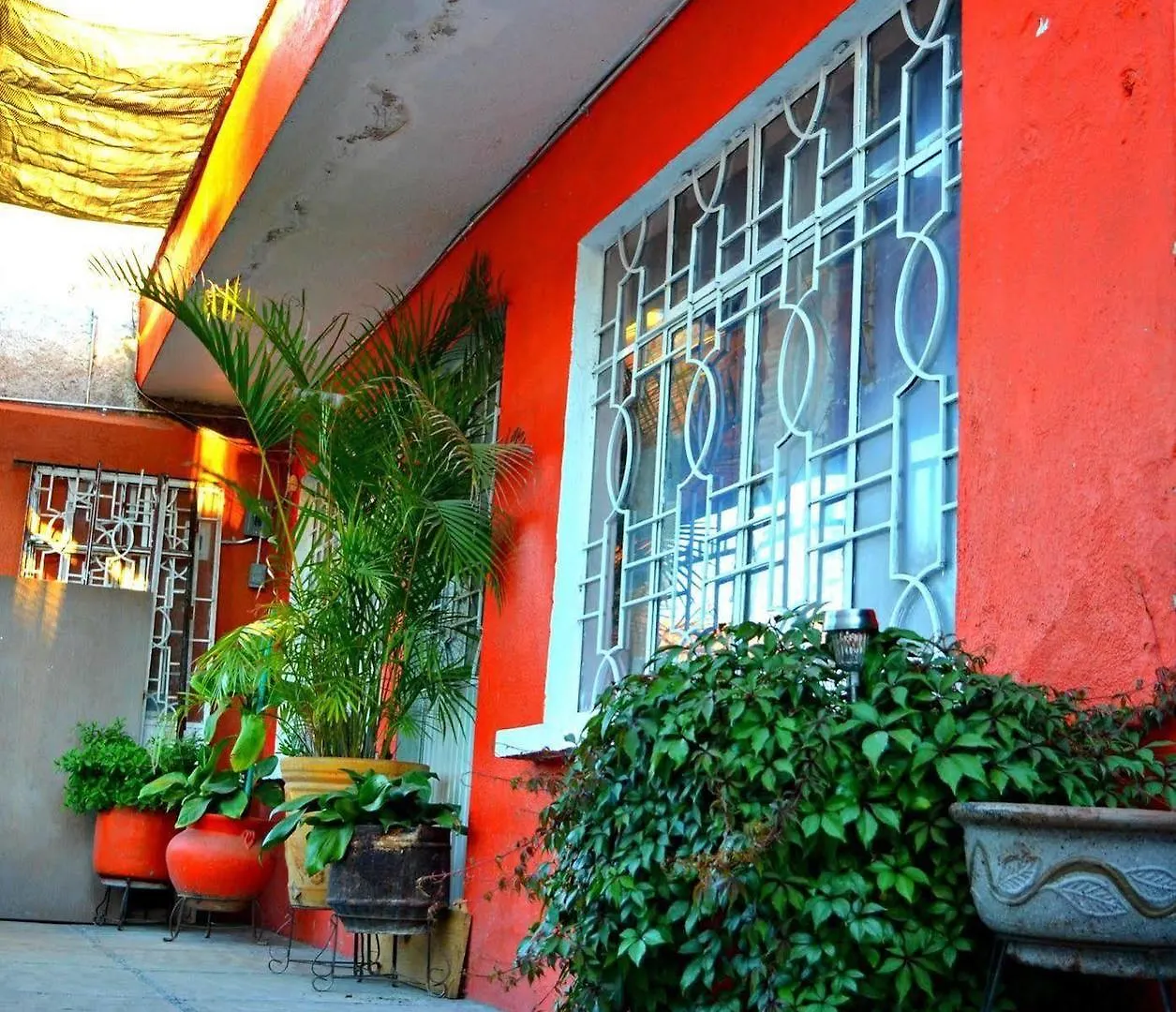 Hostal Maple Queretaro