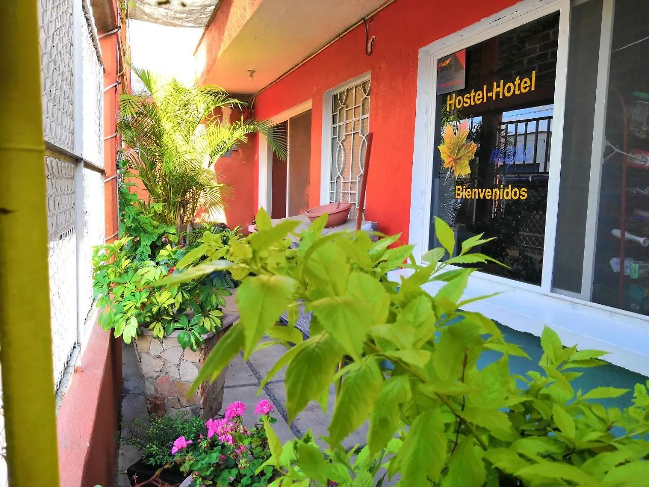 Hostel Hostal Maple Queretaro