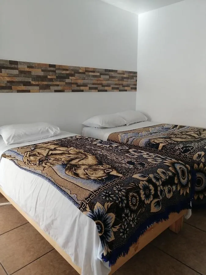 Auberge de jeunesse Hostal Maple Querétaro