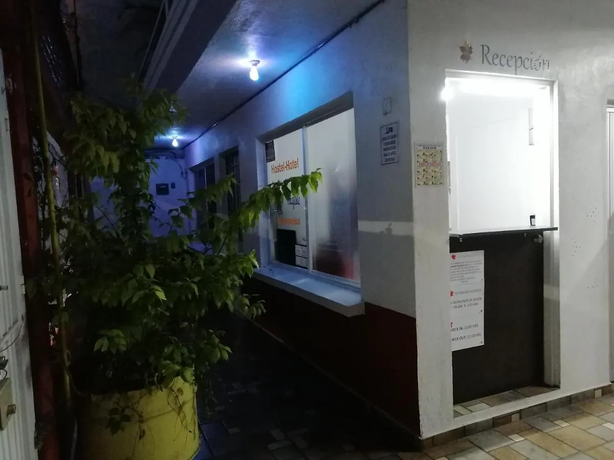 Hostal Maple Queretaro Hostel